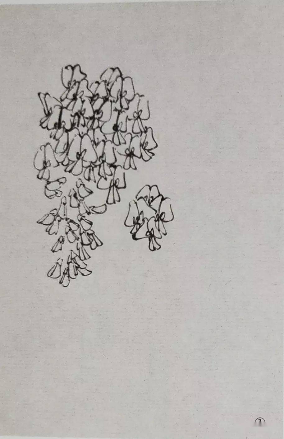 国画教程紫藤作品馥郁步骤画法