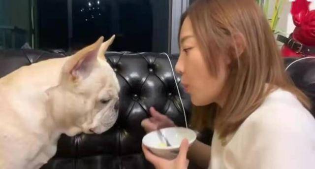 嘴对嘴喂狗吃饭,tvb小花朱智贤引网友反感,遭吐槽毫无