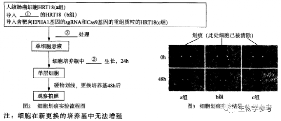 2021届高考生物热点押题(填空题),附电子版