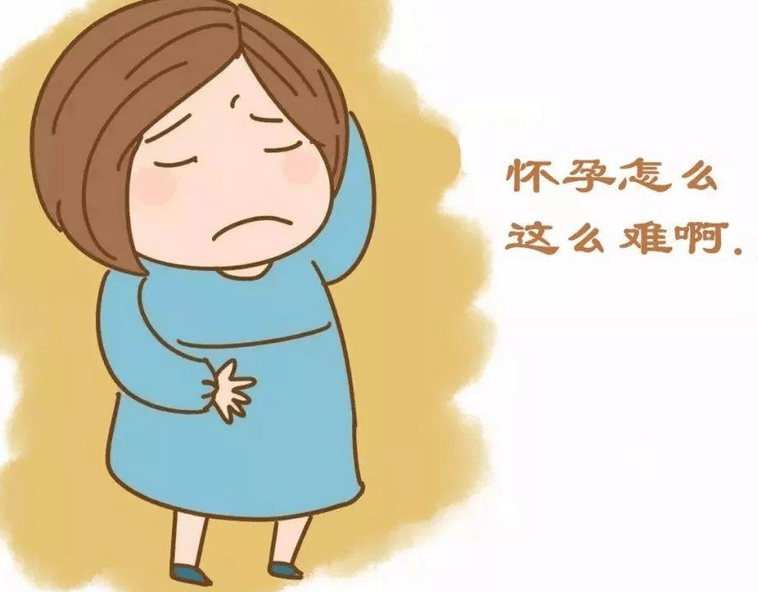 你要注意!为什么怀不上宝宝"靠谱高效"-第2张图片-康夫博客