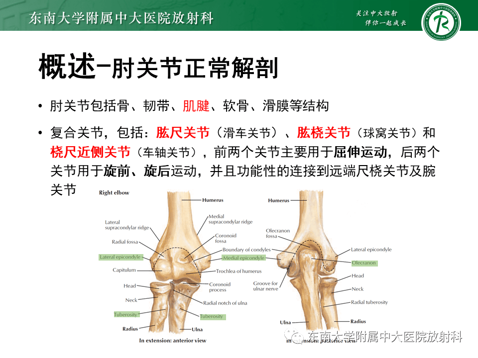 晨读结果公布20210601肌骨系统疾病肱骨内上髁炎