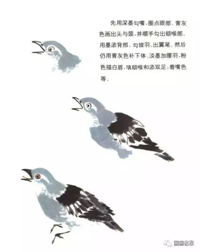 国画写意鸟儿100只,什么形态都有,够用了(学习的好素材)