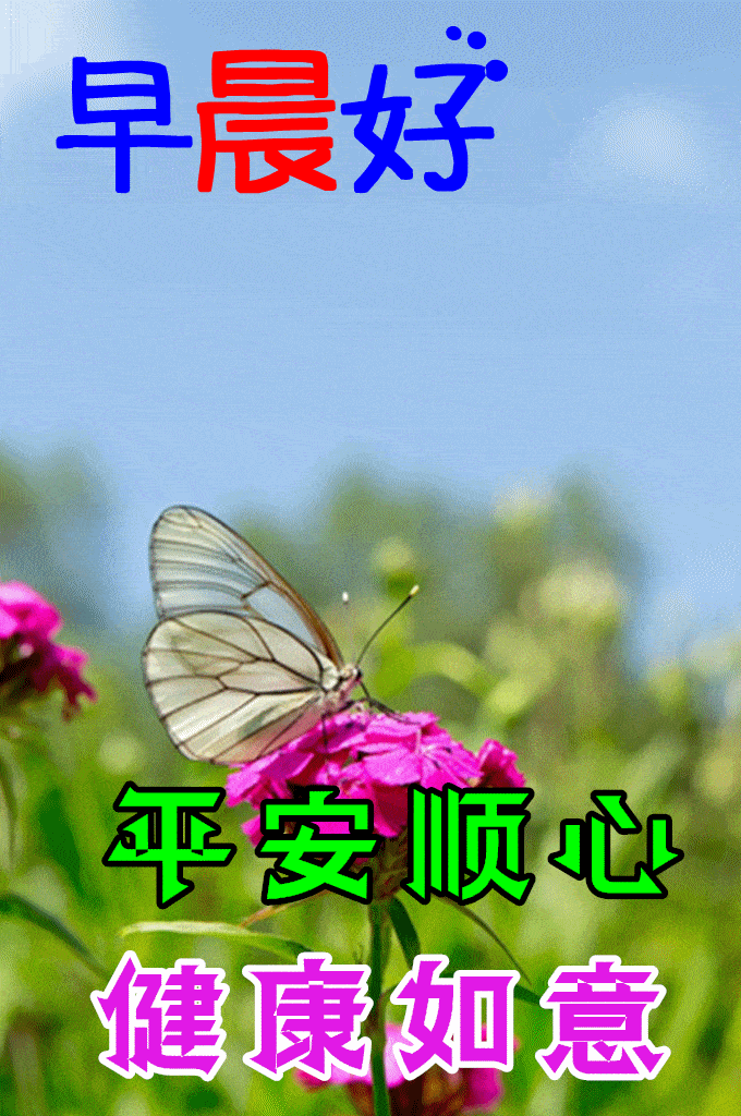 最漂亮早上好动态表情图片大全早晨好动图美图大全
