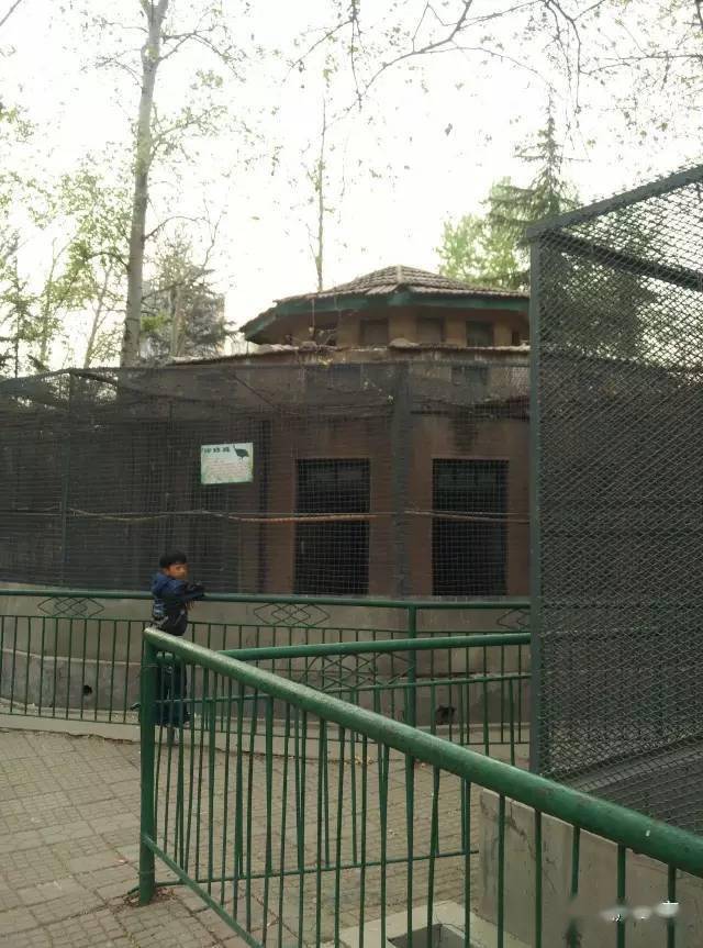 滕州龙山野生动物园开工了,枣庄的野生动物园还建吗?
