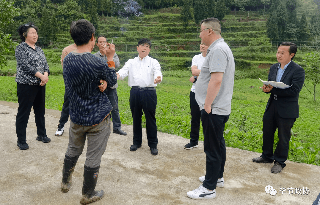 织金县委书记杨桦,织金县委副书记,县长徐开炎,织金县政协主席刘麦青