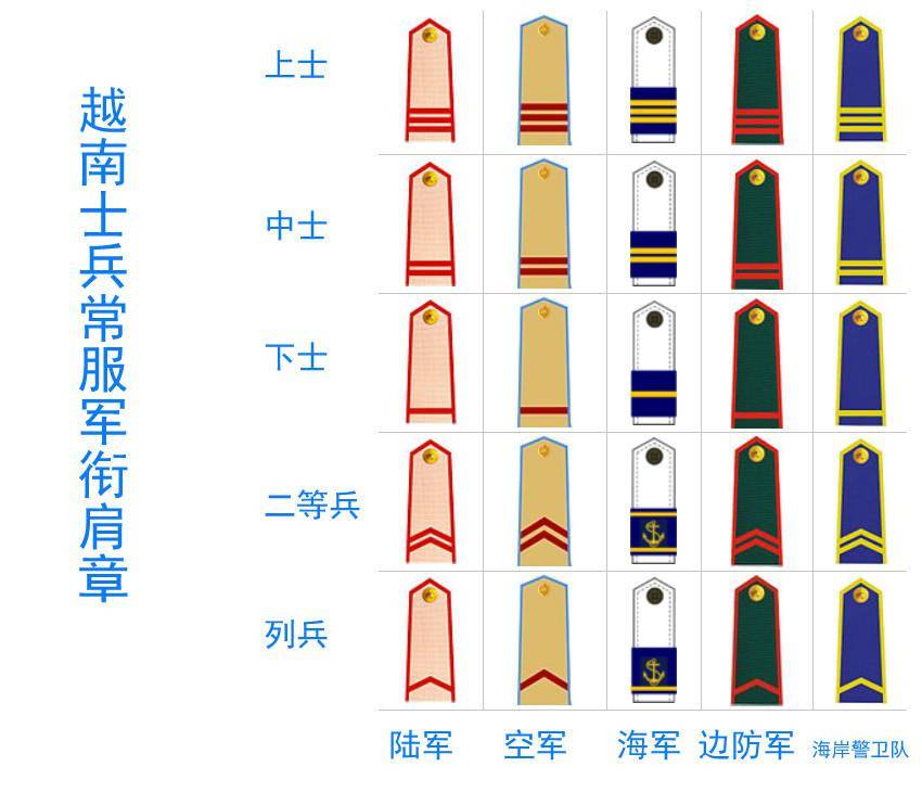 越南士兵军衔,迷彩服和常服的标志不同,是否师从了日军?