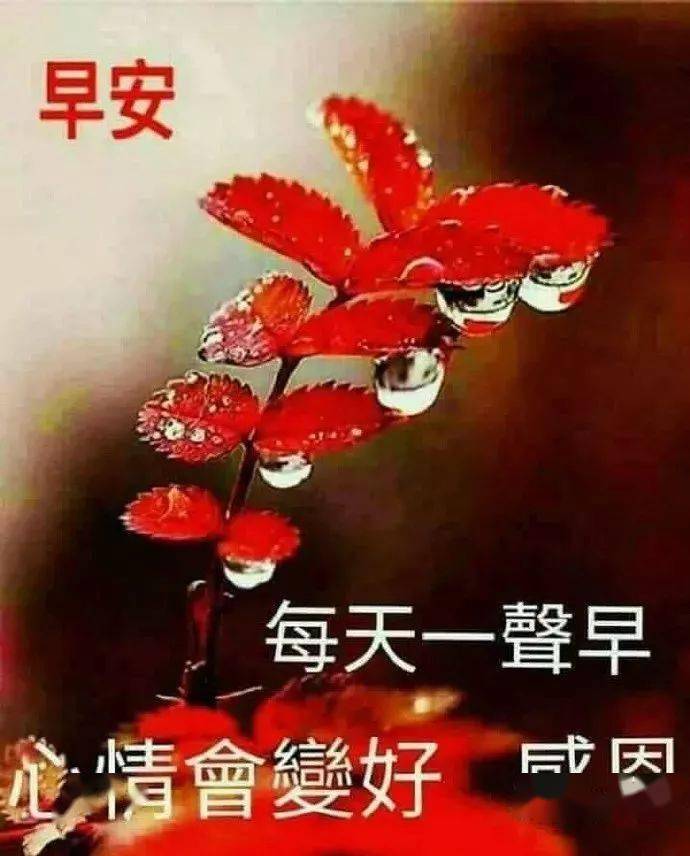 早上好,一生平安,一世幸福!