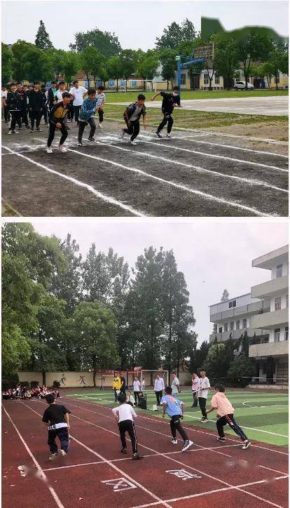 马口小学,垌塚小学等 14 所小学和城关中学,实验中学,庙头中学等8所