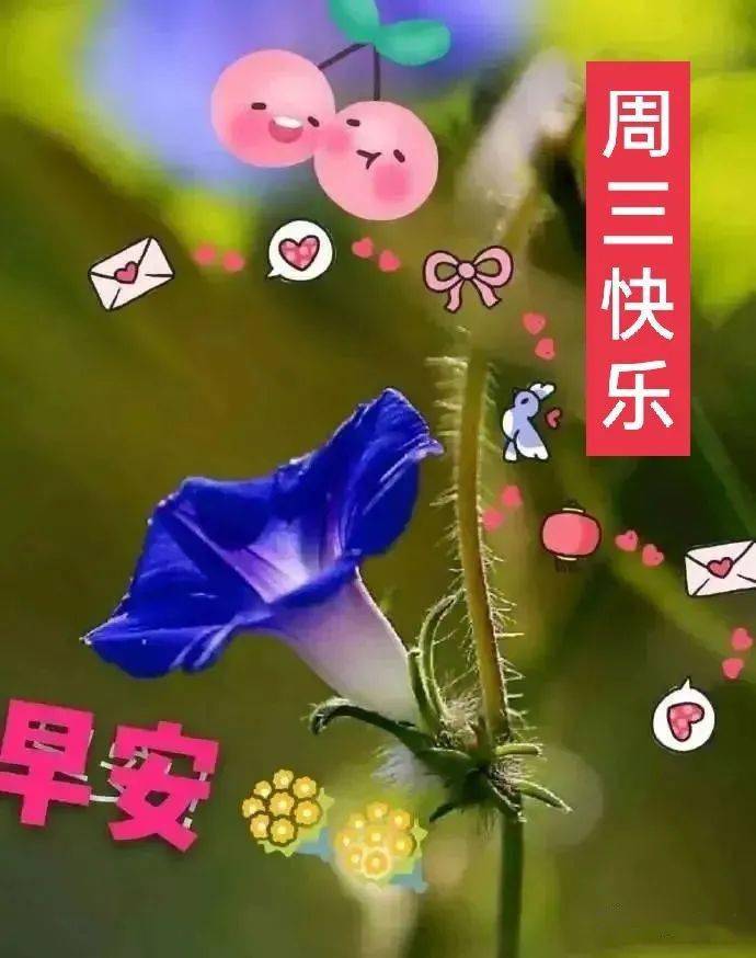 2021早上好漂亮鲜花美女图片带祝福语 暖心温馨早安问候祝福图片鲜花