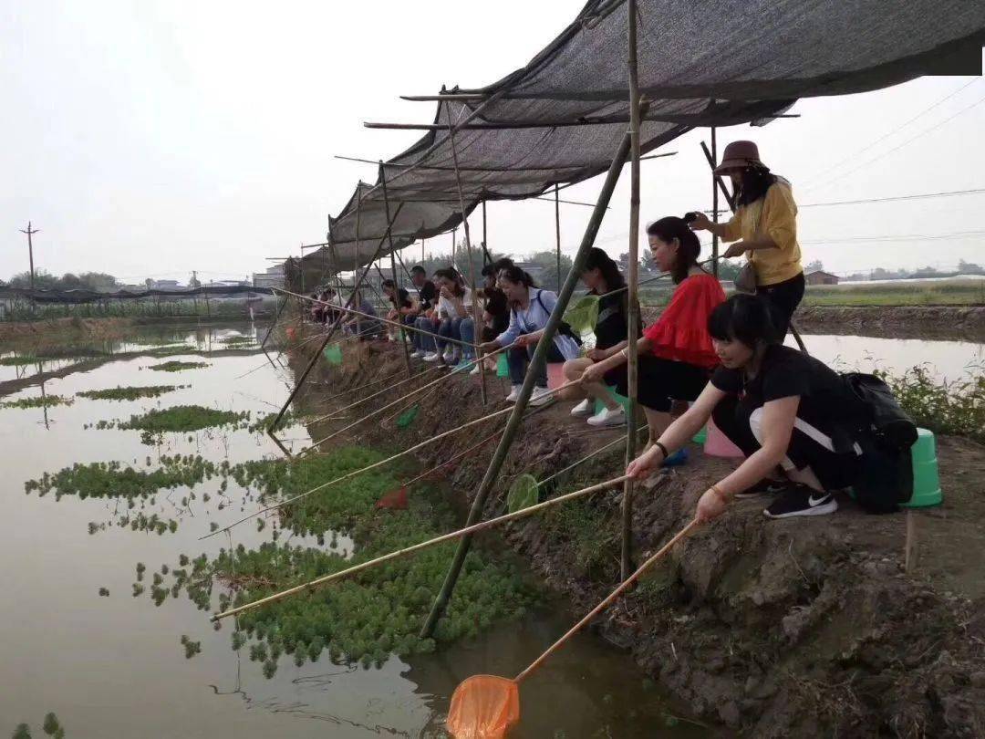 端午节怎么耍去钓龙虾咯乐山竟藏着这些钓虾基地巴适得很