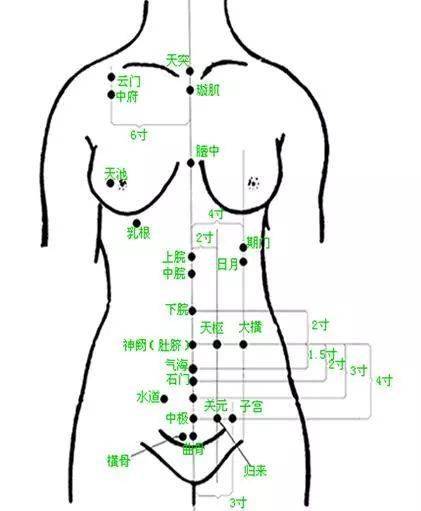 677474手把手教学十大常见病的穴位按摩疗法