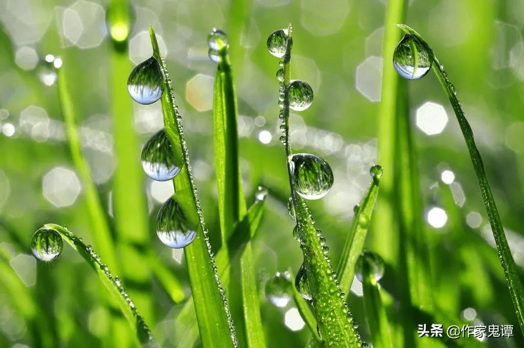 「写作坊·诗歌」余毓玺|夏天的味道(外三首)