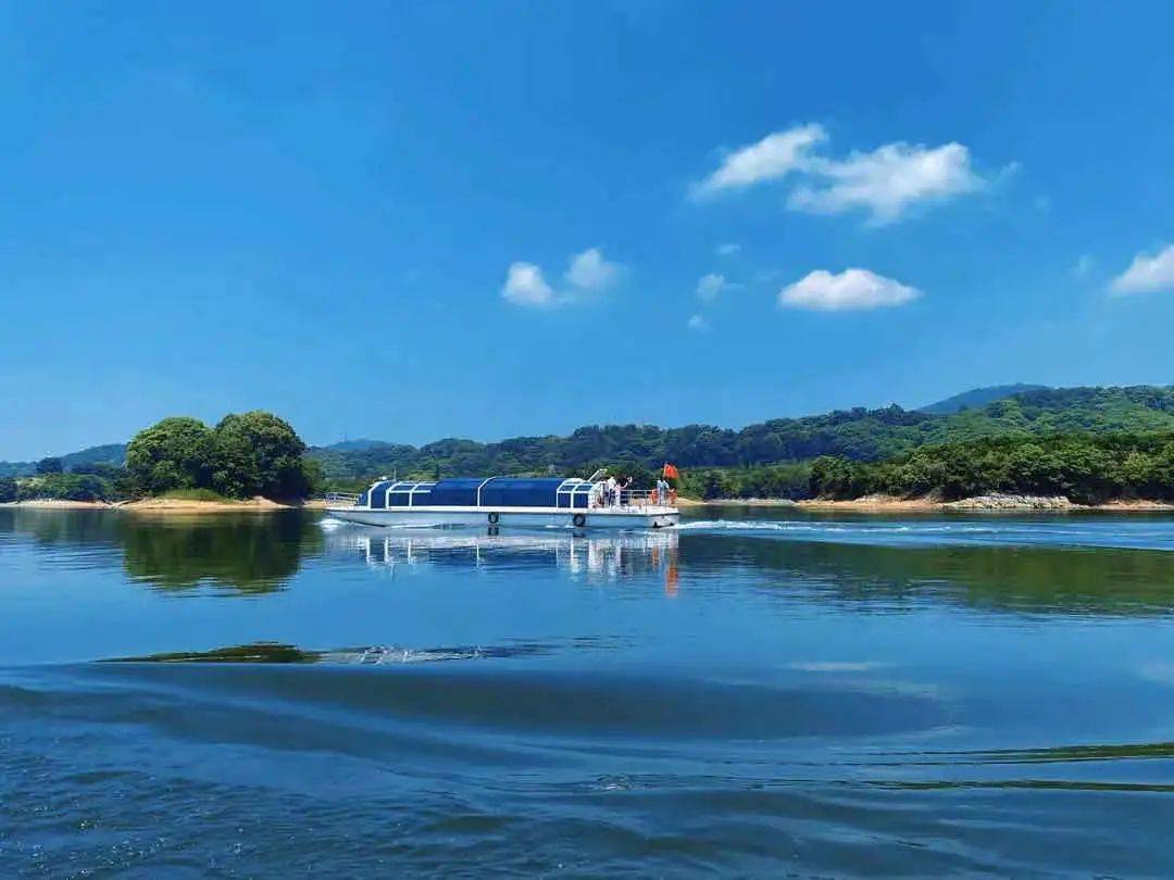 浓浓端午节气息 赶紧和家人一起来 关于景区 国家4a景区陆水湖风景区