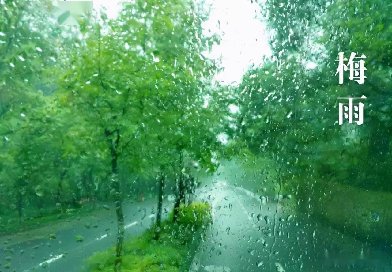 上海,皖南都入梅了,合肥什么时候"入梅?_梅雨