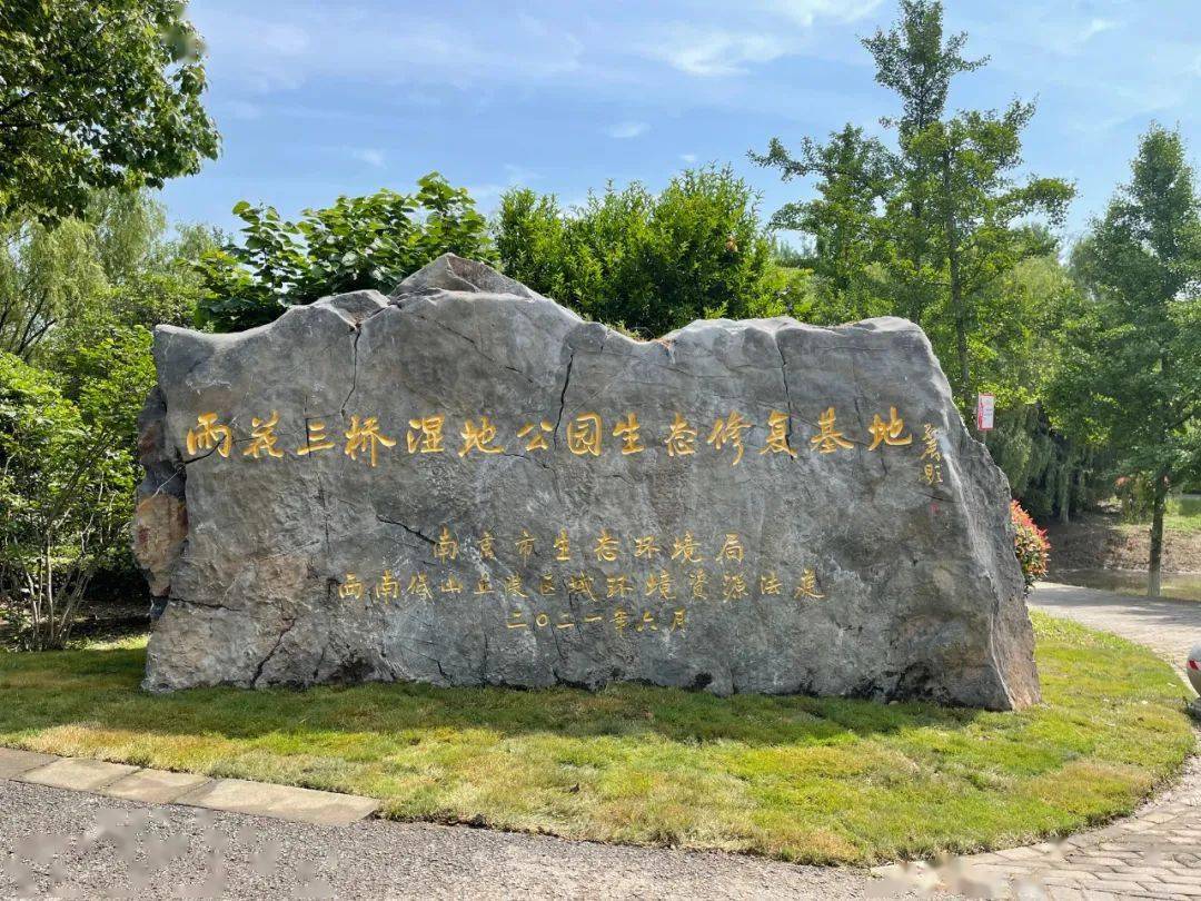 雨花三桥湿地公园生态修复基地被授予市级生态修复基地开发区段湿地