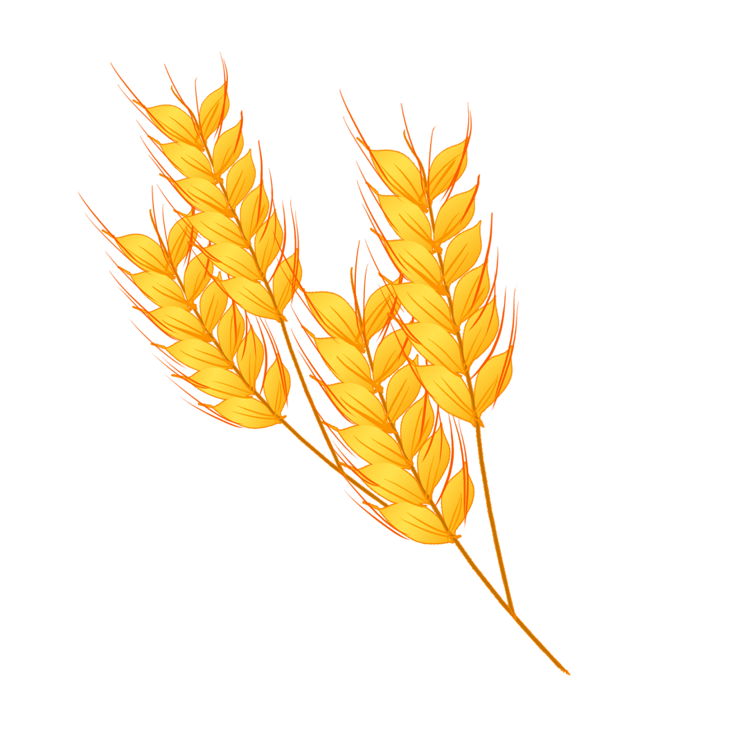 呼伦贝尔农垦集团:农业生产全面进入夏管阶段
