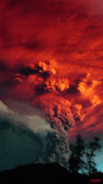 346_615 竖版 竖屏