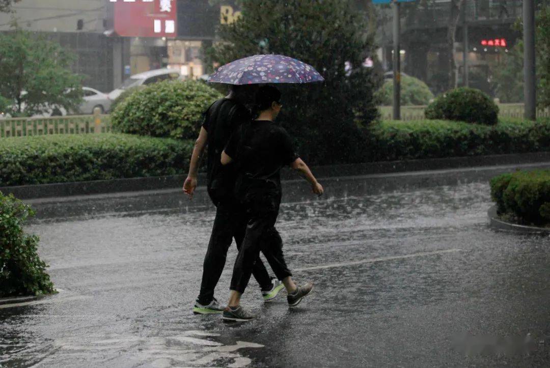 泉城降暑又解渴!看雨中百态