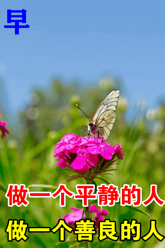 最漂亮早上好动态表情图片大全早晨好动图美图大全