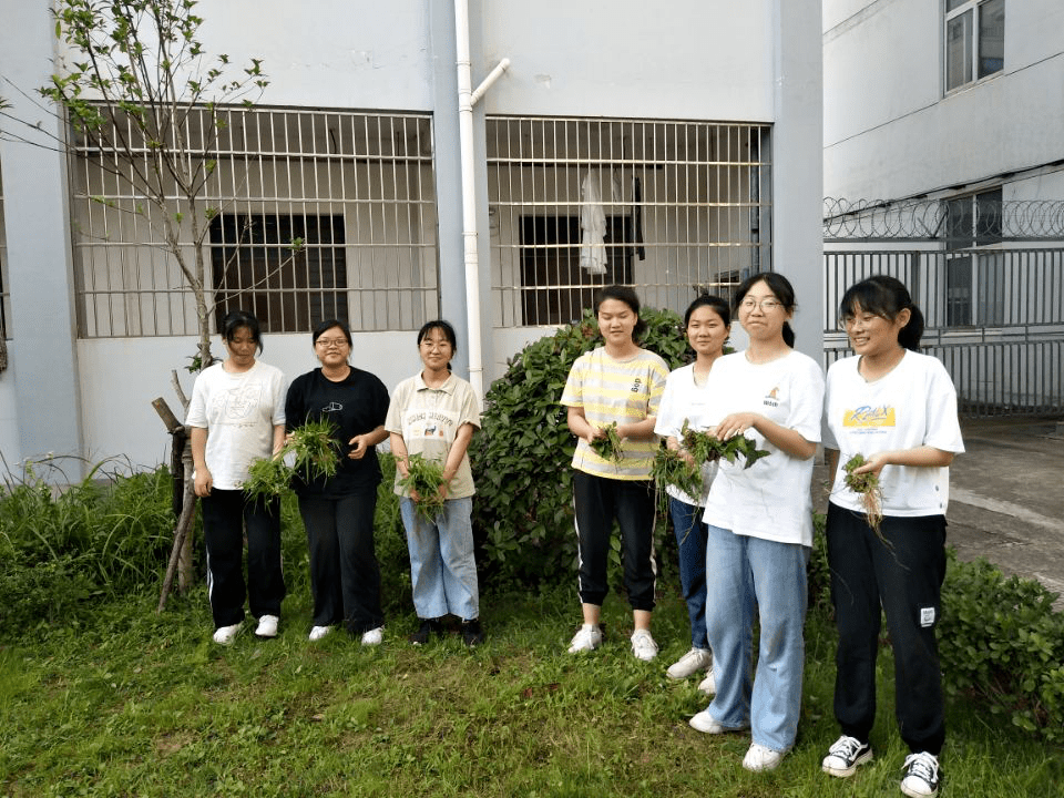 东至县大渡口中学植绿护绿在行动