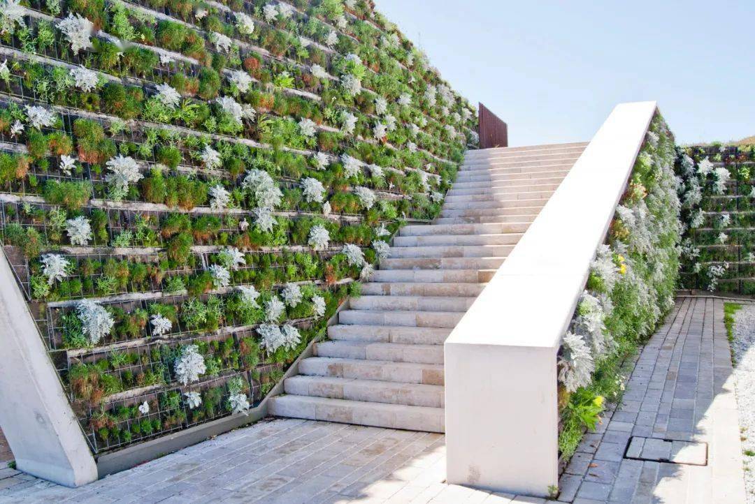 垂直绿化,屋顶绿化,树围绿化,护坡绿化,高架绿化