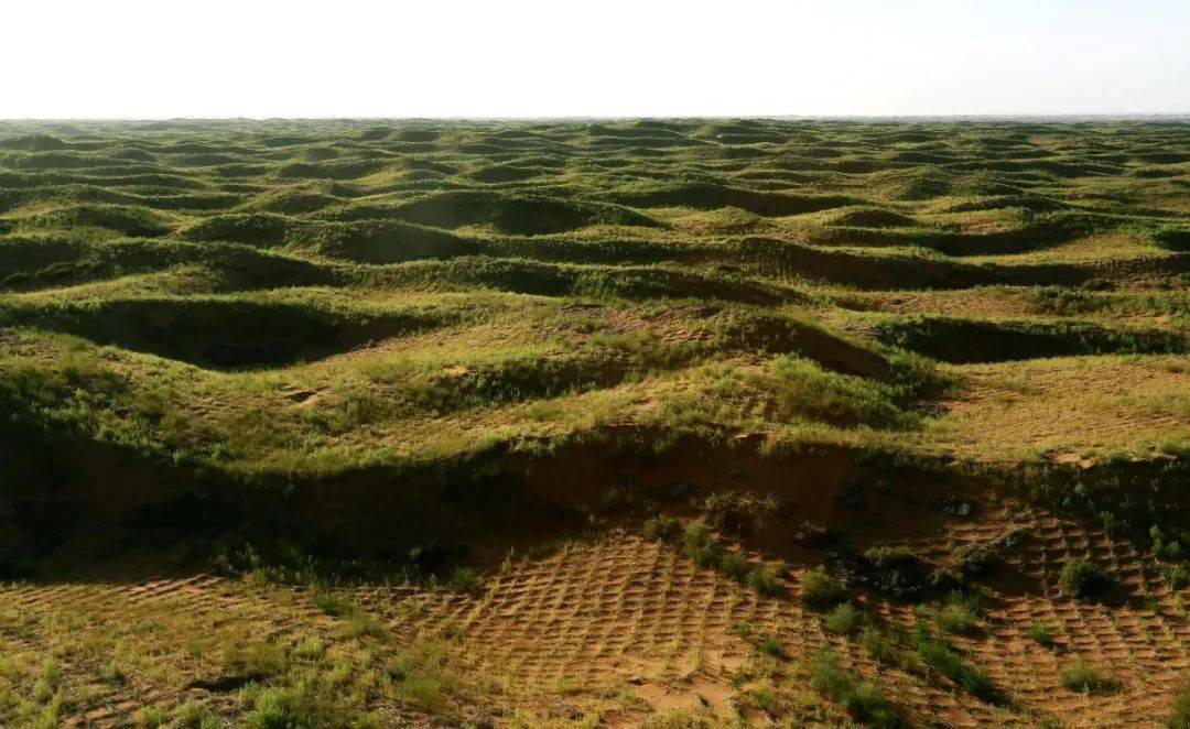 第27个世界防治荒漠化与干旱日,中国主题是——山水林田湖草沙共治 人