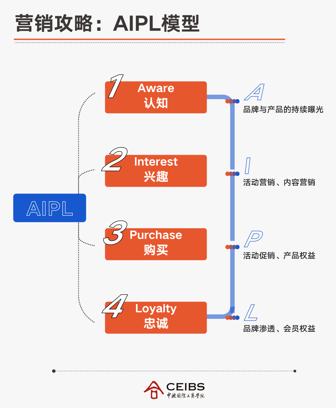 碧然德把天猫视作一个培养品牌的阵地,根据aipl模型(编者按:aipl营销