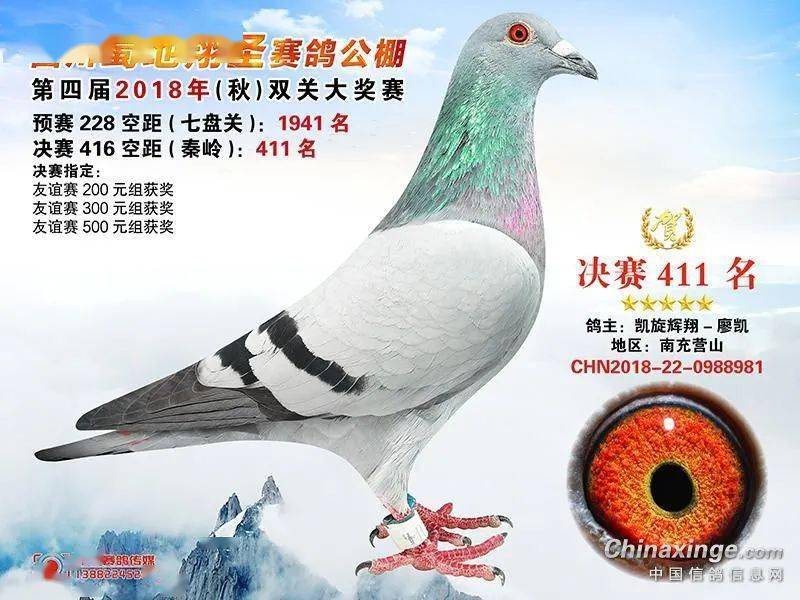 子代有青云公棚冠军,蜀地411名,东山283名,三贤公棚258名等等,孙代有