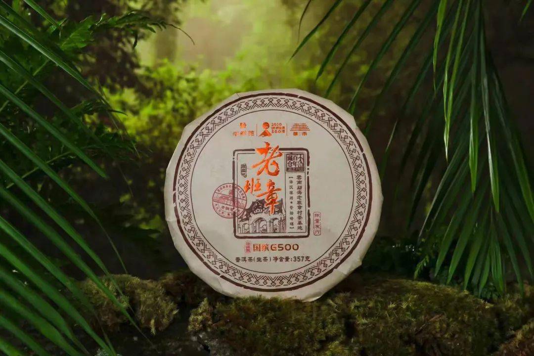 班章为王!重庆茶友盛赞华祥苑国缤g500老班章