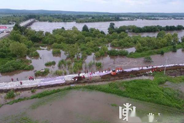 黑龙江呼玛25日迎战洪峰防汛i级应急响应启动