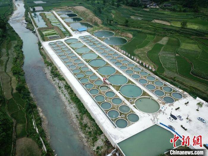 贵州务川:生态渔业助力乡村振兴