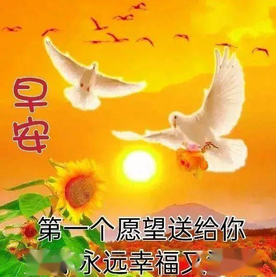 早上好表情包,早上出门逢喜事,平安顺利伴你行!