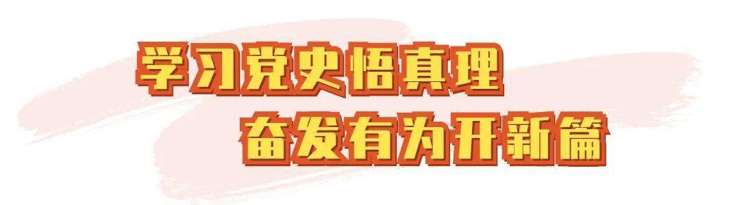 党史学习教育"学史明理"专题研讨会