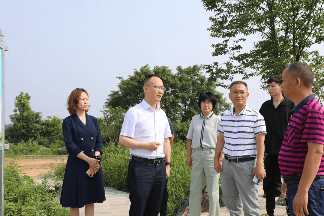 6月25日,永定区委书记,区长朱法栋深入三家馆乡调研漩水国有林场建设