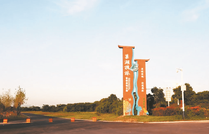 巢湖这处生态湿地,6月底将全新亮相!_槐林镇