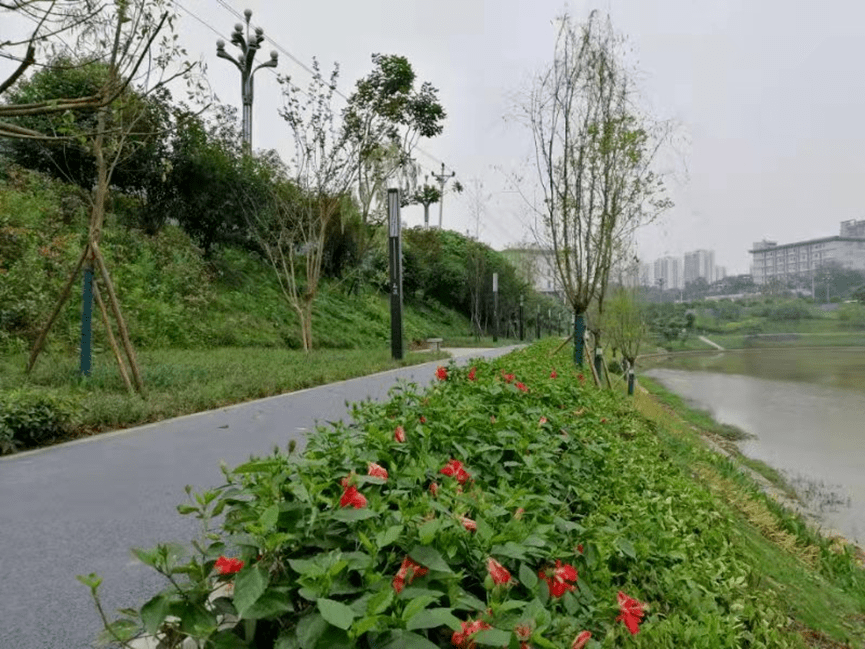 巴南再添亲水观江乐园,花溪河绿色生态走廊露雏形!