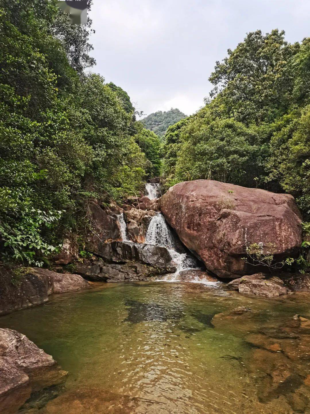 秘境增城丨溯溪山水0704周日逃离喧嚣的都市逆流而上增城大丰门溯溪观