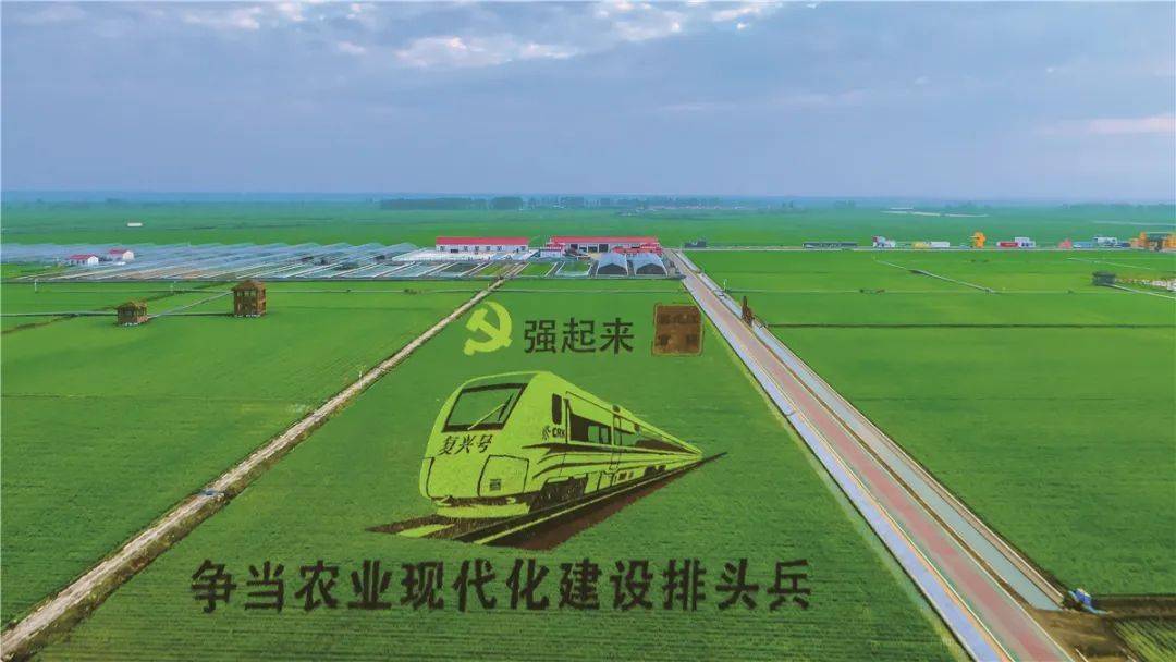 【媒体关注】万亩稻海 秀美湿地 粮都富锦喜迎建党百年