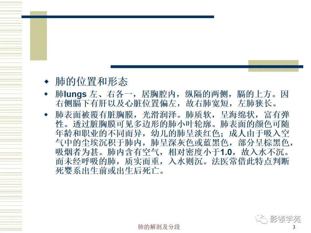 肺部解剖与分段