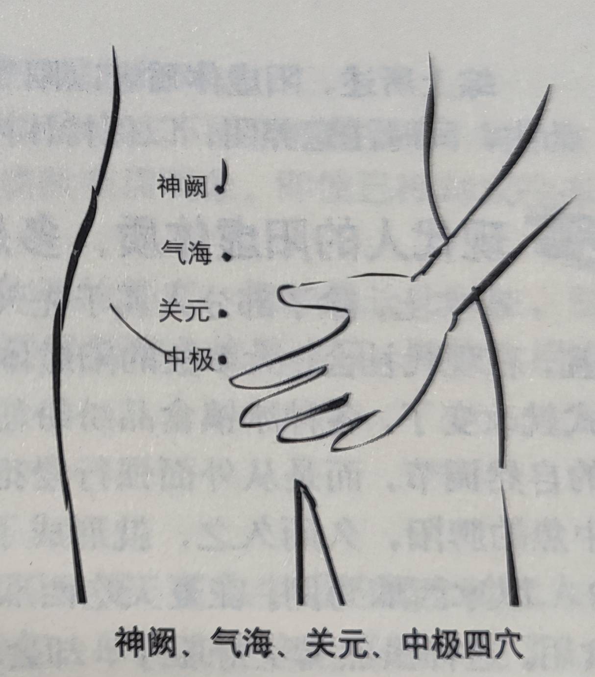 任脉肚脐以下的神阙,气海,关元,中极这四个穴位有很好的温阳作用,可以