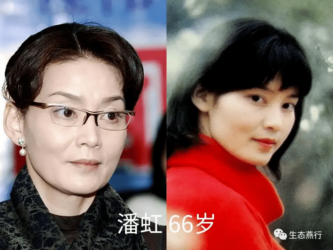 10位"优雅老去"的女星,与整容脸绝缘,年龄越大越有气质