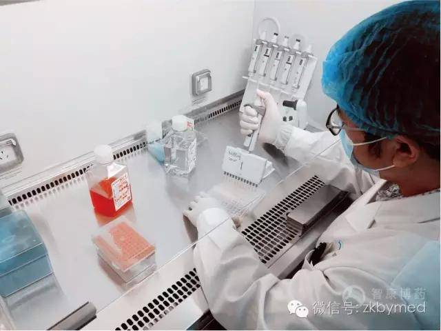 肿瘤|全新细胞培养技术！癌症个性化用药难关就突破了？