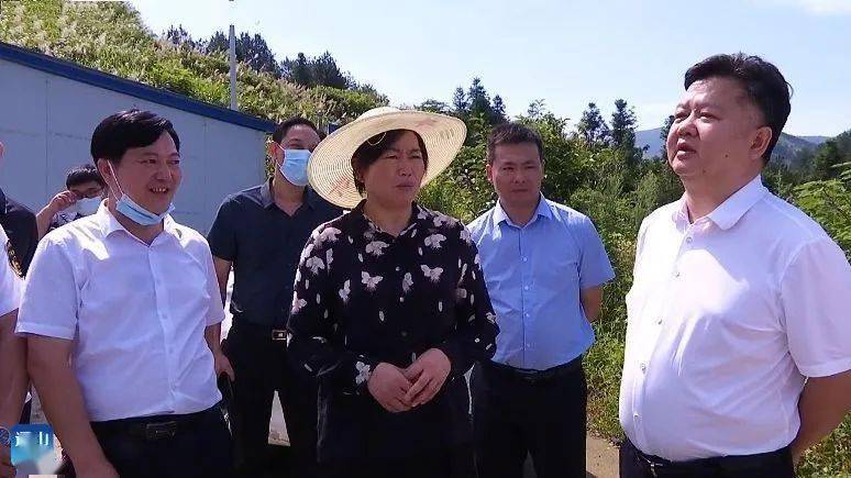 谭海华来通山县调研督办突出环境问题整改工作