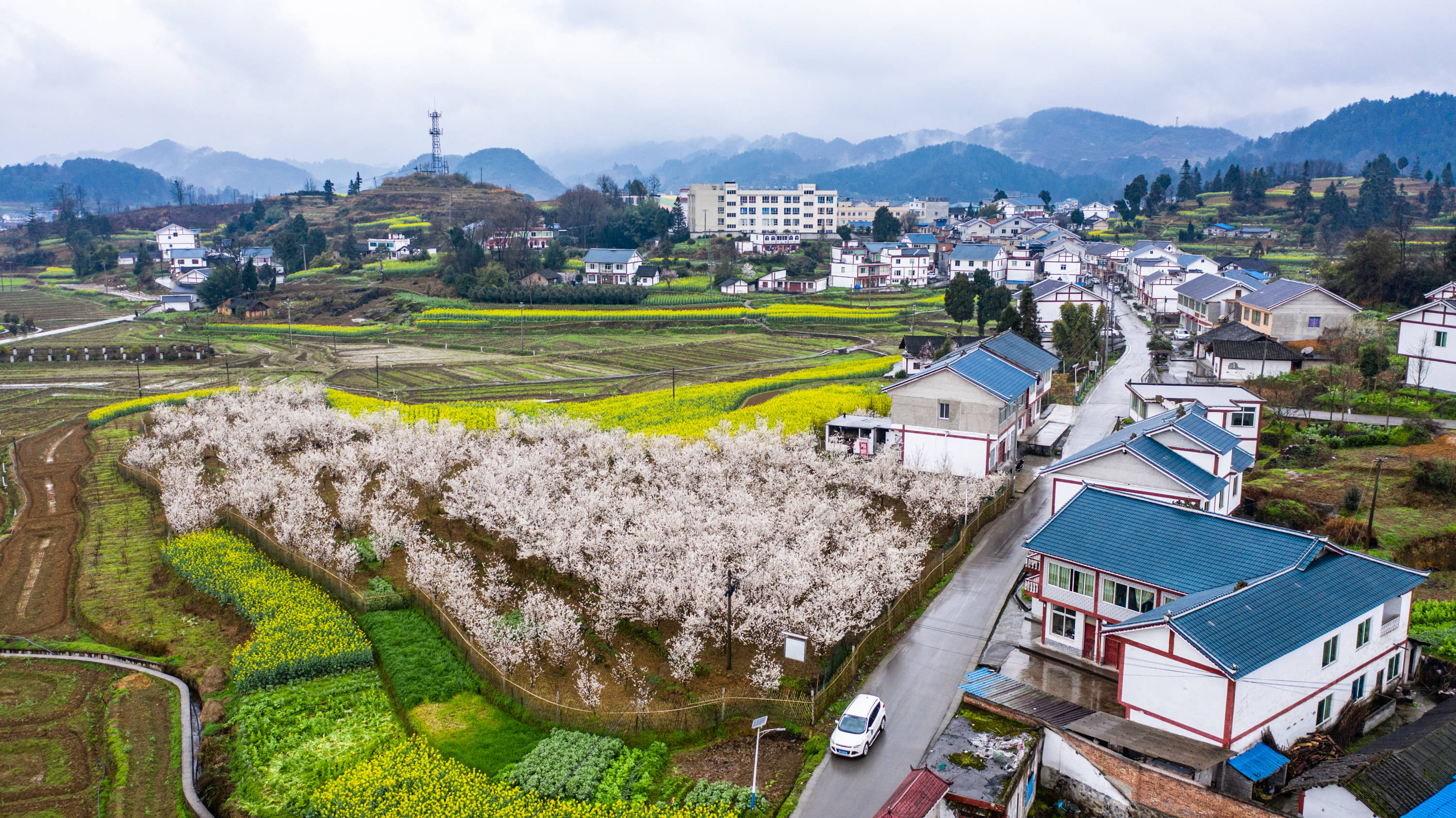 这是2020年2月28日拍摄的遵义市播州区枫香镇花茂村风貌(无人机照片).