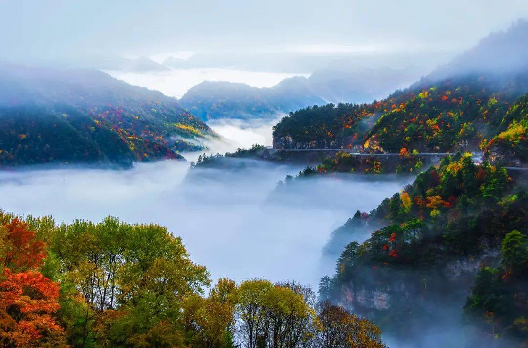 一带三屏!长江上游 大巴山 武陵山 大娄山,有新动作了