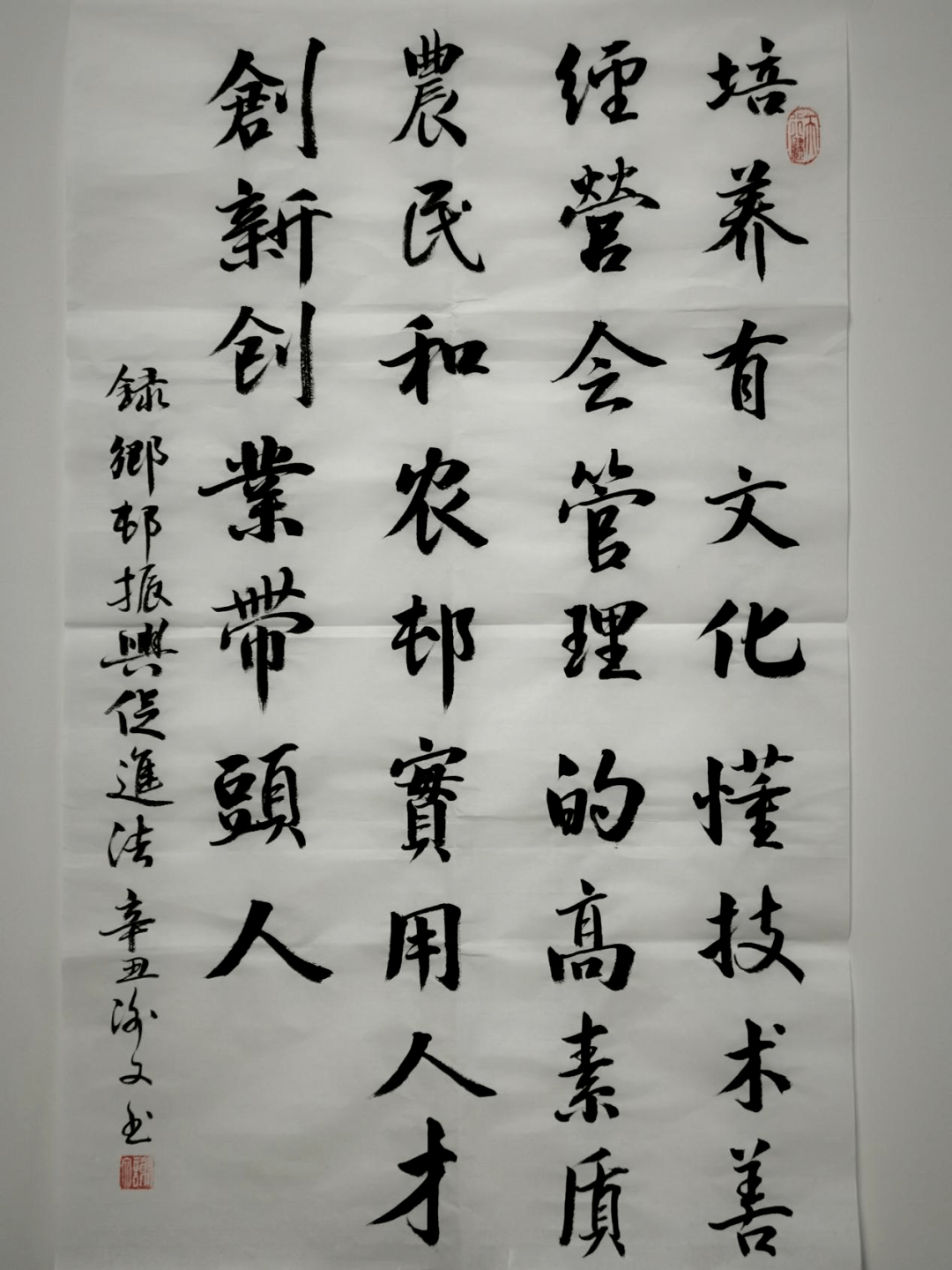 中华人民共和国乡村振兴促进法"书法写法"作品展