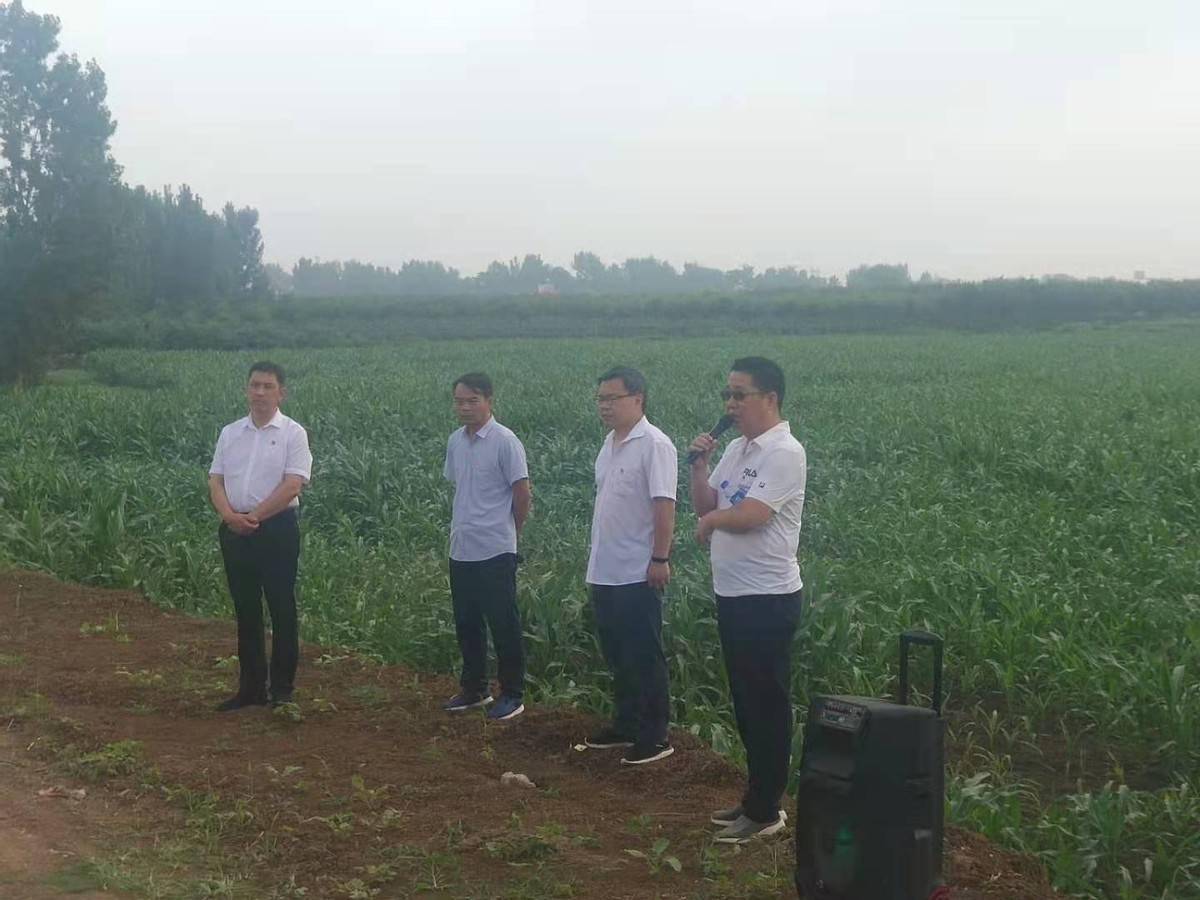 镇平县贾宋镇开展第二季度"逐村观摩,整乡推进"及支部
