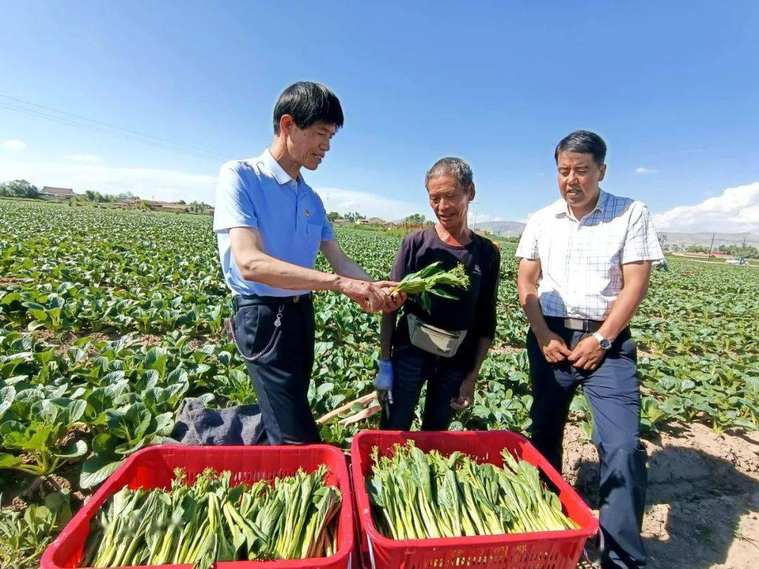 【党员先锋】郭占忠:基层助农三十载 谱写农业新华章