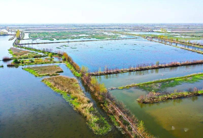 马家荡景区的中心是一个休闲娱乐中心,有着齐全的游玩项目,巨大的