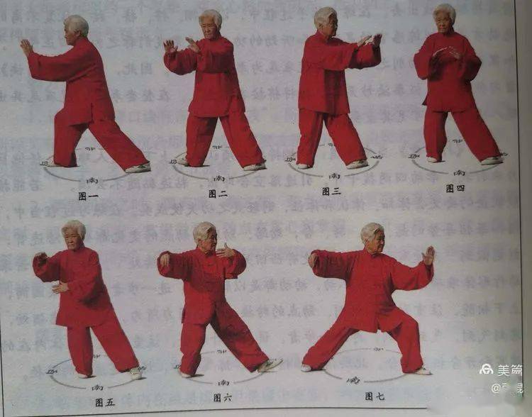 扎西杨氏太极拳完整图解与探微